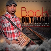 Terry and the Zydeco Badboys - Back On Track (2014)