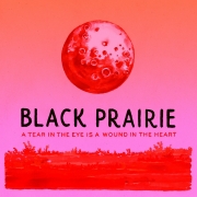 Black Prairie – A Tear In The Eye Is A Wound In The Heart (2012)