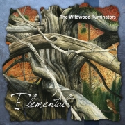 The Wildwood Ruminators - Elemental (2013)