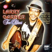 Larry Garner - Too Blues (1994)