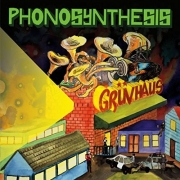 Phonosynthesis - Gruvhaus (2016)
