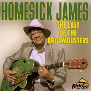 Homesick James - The Last Of The Broomdusters (1998)
