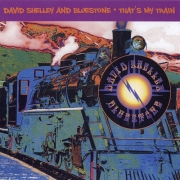 David Shelley & Bluestone - That's My Train (2011)