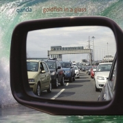 QandA - Goldfish in a Glass (2016)