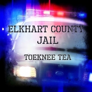 ToeKnee Tea - Elkhart County Jail (2013)