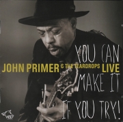 John Primer & The Teardrops - You Can Make It If You Try (2014)