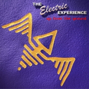 The Electric Experience - Up From The Ground (1999/2009)