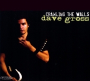 Dave Gross - Crawling The Walls (2008)