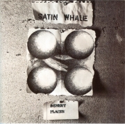 Satin Whale - Desert Places (1974/2015)