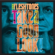 The Fleshtones - Take A Good Look (2007)