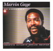 Marvin Gaye - In Concert (1993)