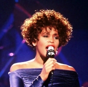 Whitney Houston - Сollection (12inch Vinyl) (1987-1993)