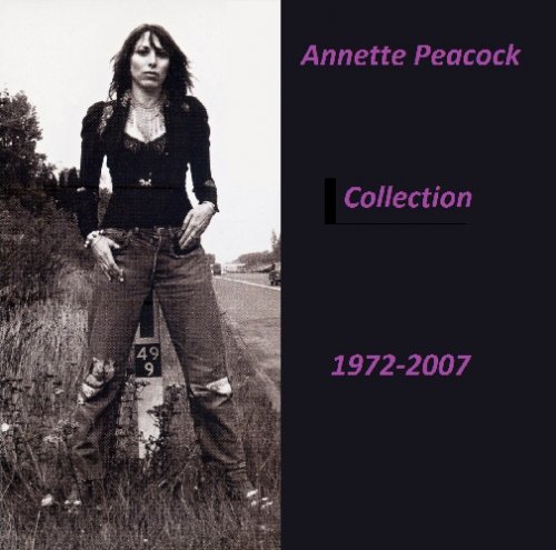 Annette Peacock - Collection: 11 albums (1972-2007)