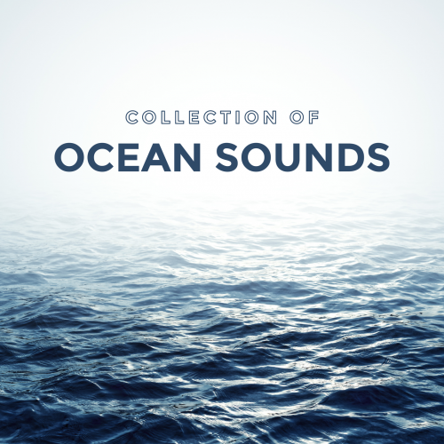Ocean Waves For Sleep - Collection Of Ocean Sounds (2016)