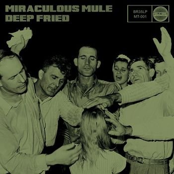 Miraculous Mule – Deep Fried (2013)