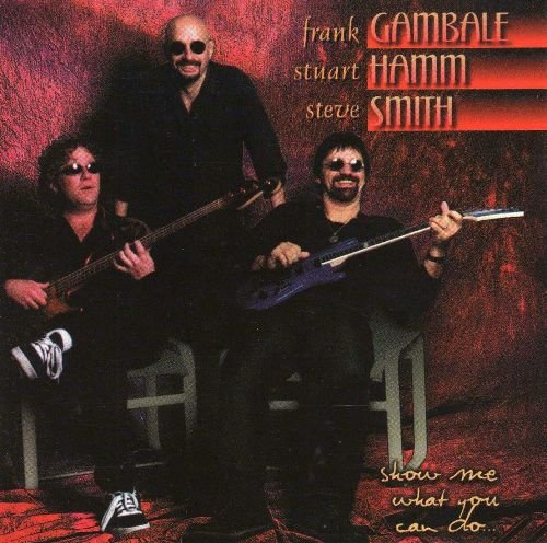 Frank Gambale, Stuart Hamm, Steve Smith - Show Me What You Can Do (1998) 320 kbps