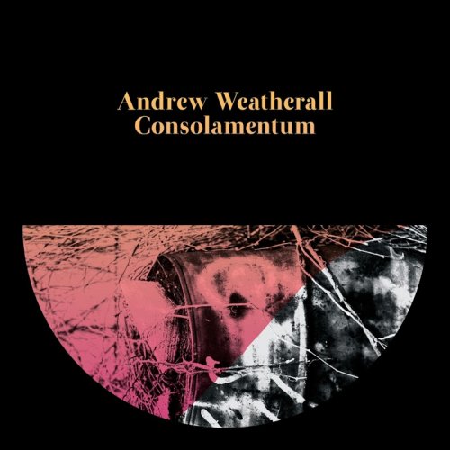 Andrew Weatherall - Consolamentum (2016)