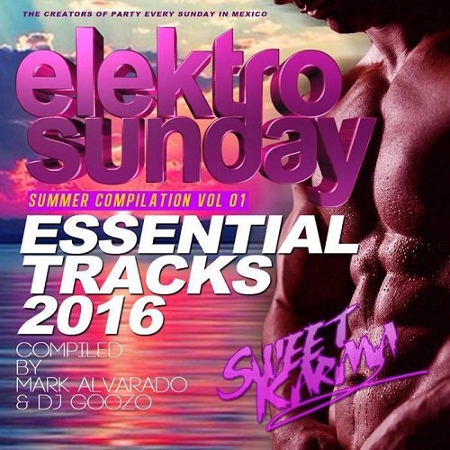 VA - Elektrosunday Summer Compilation (2016)