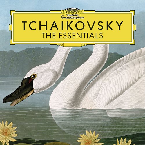 VA - Tchaikovsky: The Essentials (2016)