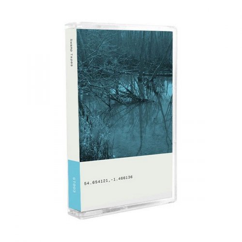 VA - Swamp Tapes 003 (2016)