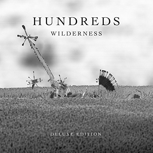 Hundreds - Wilderness (Deluxe Edition) (2016)