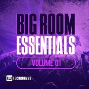 VA - Big Room Essentials Vol.01 (2016)
