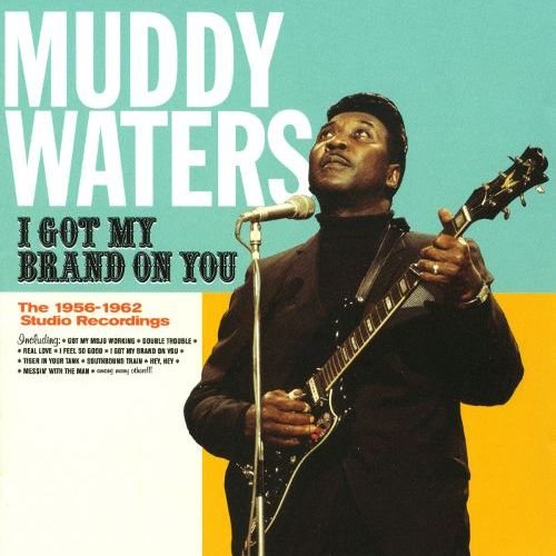 Muddy Waters - I Got My Brand On You (2013)