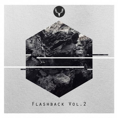 VA - Flashback Vol. 2 (2016)