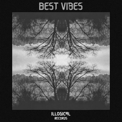 VA - Best Vibes (2016)