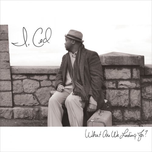 I, Ced - What Are We Looking For? (2016)