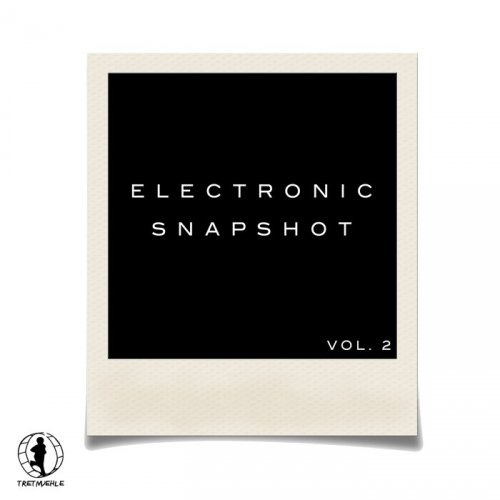 VA - Electronic Snapshot Vol 2 (2016)