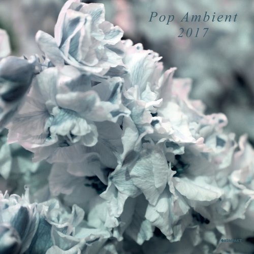 VA - Pop Ambient 2017 (2016)