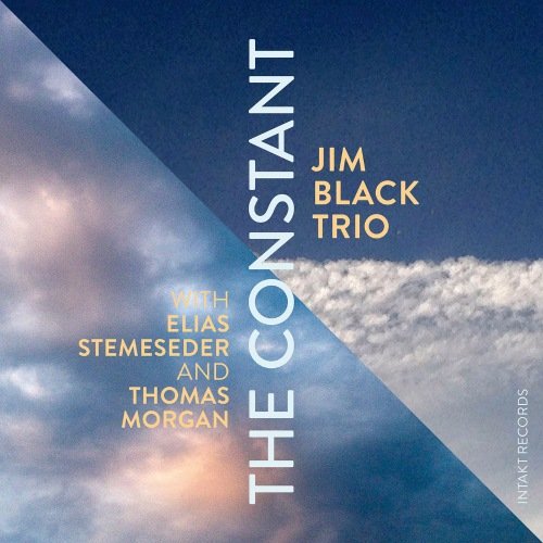 Jim Black Trio with Elias Stemeseder & Thomas Morgan - The Constant (2016) [HDtracks]