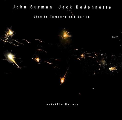 John Surman & Jack DeJohnette - Invisible Nature (2002) Flac