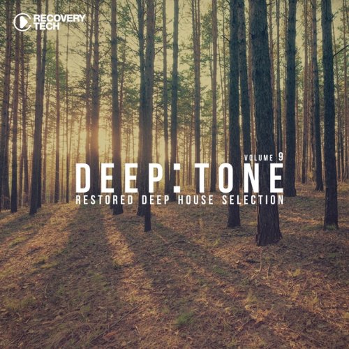 VA - DeepTone Vol 9 (2016)