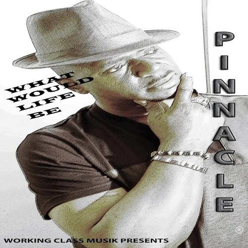 Pinnacle - What Would Life Be (2016)