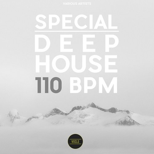 VA - Special Deep House 110 BPM (2016)