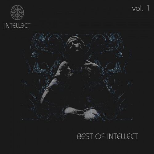 VA - Best Of Intellect Vol 1 (2016)