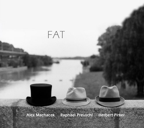 Alex Machacek, Raphael Preuschl, Herbert Pirker - Fat (2012)
