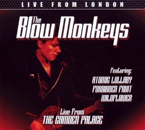 The Blow Monkeys - Live From London (2016)