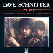David Schnitter - Glowing (1979)
