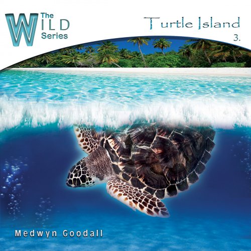 Medwyn Goodall - Turtle Island (2013) Lossless