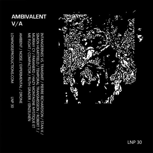VA - Ambivalent (2016)