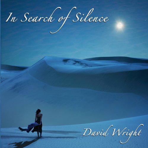 David Wright - In Search of Silence (2011) Lossless