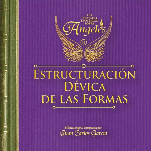 Juan Carlos Garcia - Estructuración Dévica de las Formas (2016)