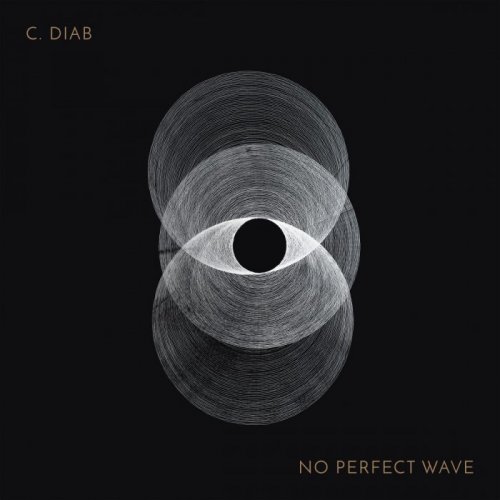 C. Diab - No Perfect Wave (2016)