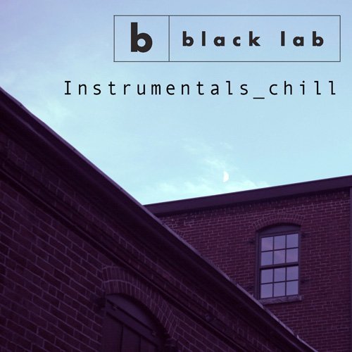 Black Lab - Instrumentals_chill (2016)