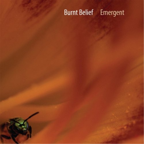 Burnt Belief - Emergent (2016)