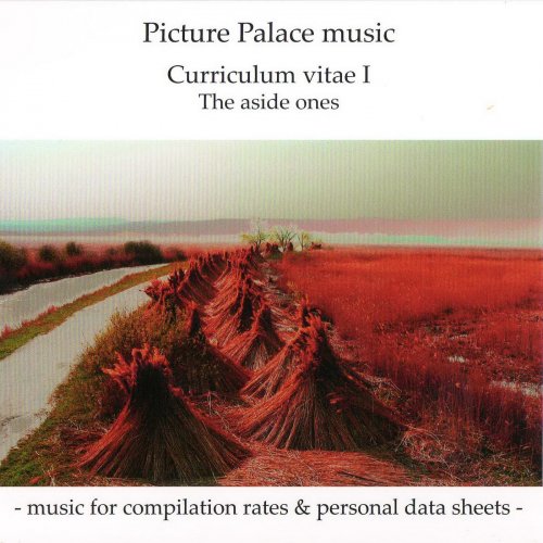 Picture Palace Music - Curriculum Vitae I-The Aside Ones (2009)