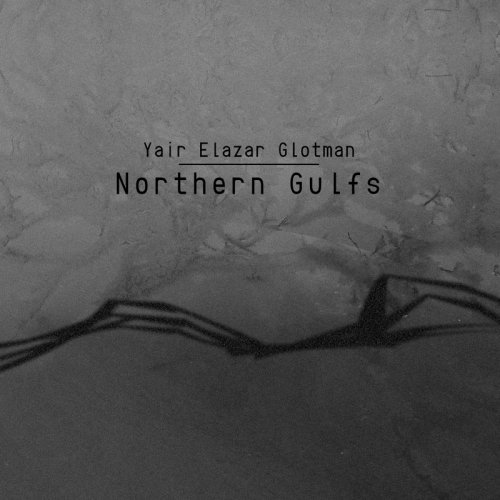 Yair Elazar Glotman - Northern Gulfs (2014) Lossless